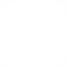anton-efimenko-iconsn