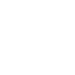 max-s-icon