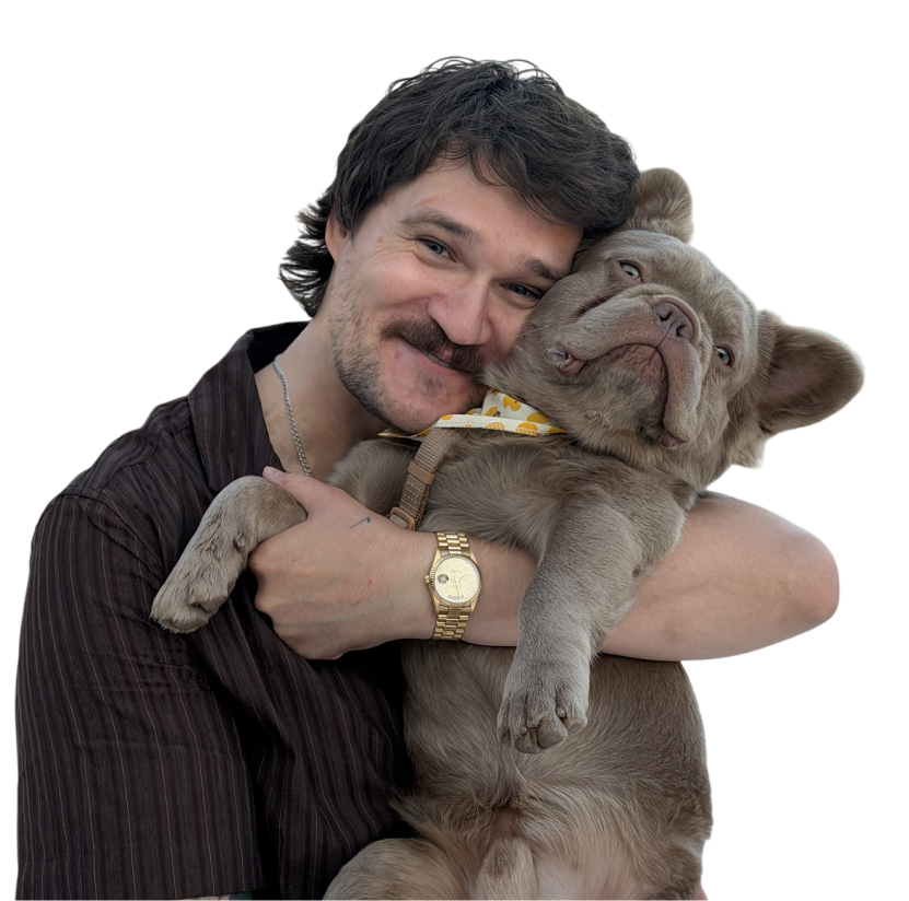 program-dmitry-img