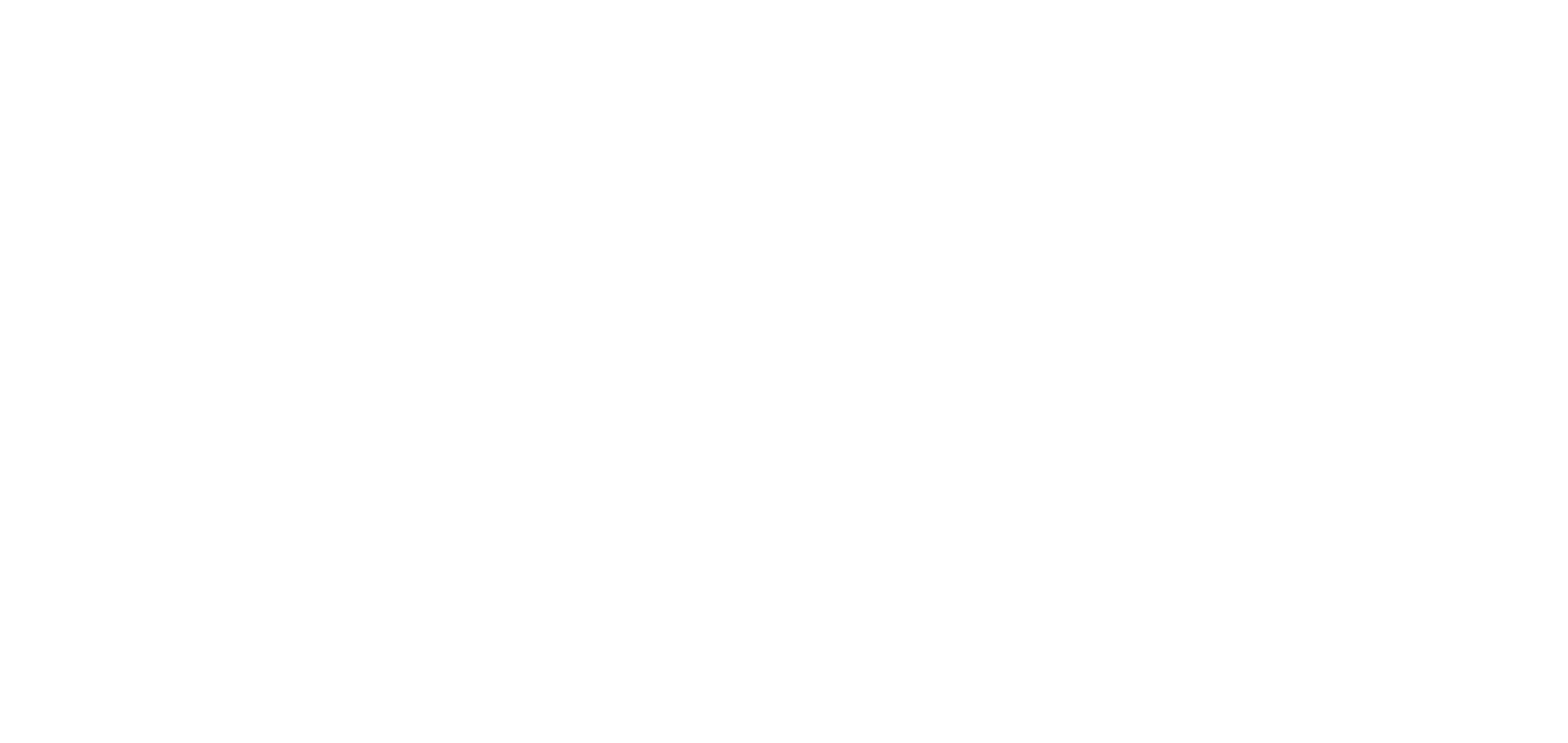 PROGRAM BACKGROUND